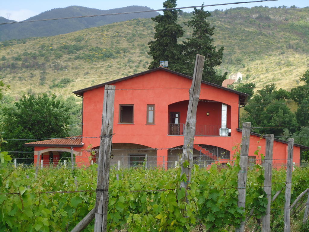 Agrituirsmo Masseria Campierti Falciano del Massico Экстерьер фото